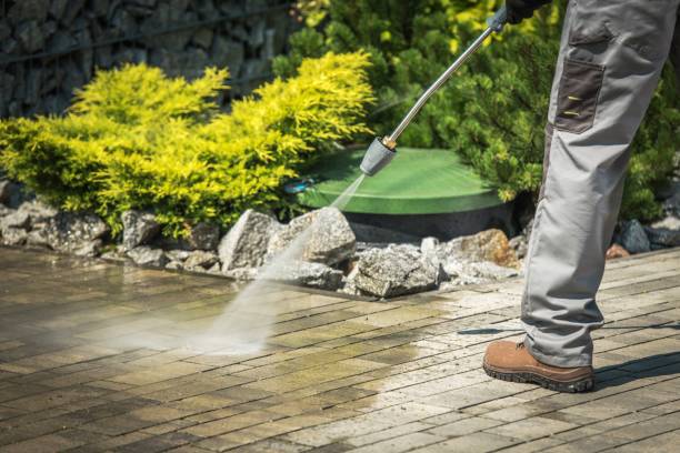 Best Roof Cleaning and Mildew Removal in Mentor, OH